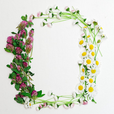 Wreath with field flowers, such as clover and chamomile, and daisy on white background. Flat lay.の写真素材