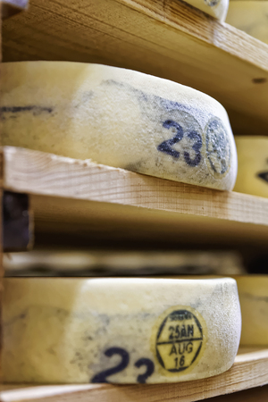 Aging Cheese on wooden shelves in maturing cellar in Franche Comte dairy in Franceの写真素材
