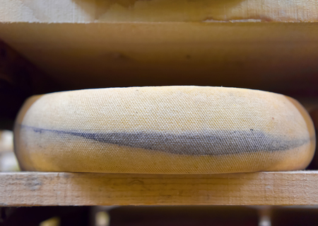 Aging Cheese on wooden shelves in ripening cellar of Franche Comte dairy in France