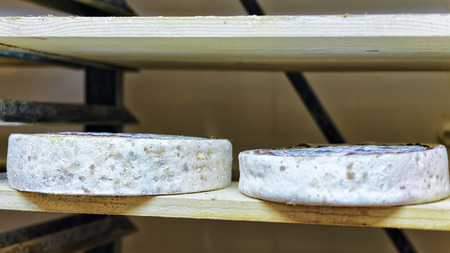Aging Cheese on wooden shelves at maturing cellar in Franche Comte creamery in Franceの写真素材