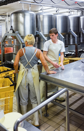 Evillers, France - August 31, 2016: Cheese maker putting Gruyere de Comte Cheese into the forms at...
