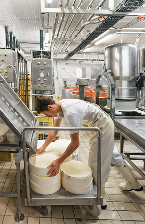 Evillers, France - August 31, 2016: Cheese-maker putting Gruyere de Comte Cheese in the forms, at the dairy in Franche Comte, Burgundy, in France.のeditorial素材