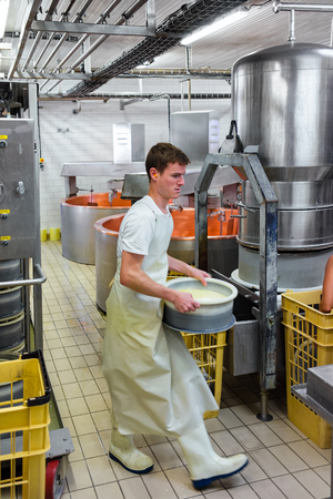 Evillers, France - August 31, 2016: Cheese maker putting Gruyere de Comte Cheese into the forms at...