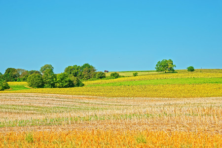Field at a Swiss village in Yverdon les Bains in Jura Nord Vaudois district of Canton Vaud,...