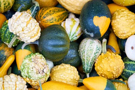 Decorative little pumpkins background