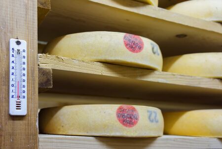 Shelves of aging Cheese in maturing cellar in Franche Comte dairy in France