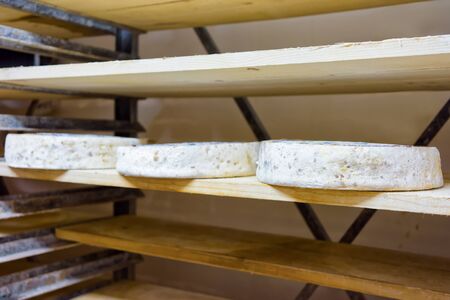 Wheels of aging Cheese on wooden shelf at maturing cellar of Franche Comte dairy in Franceの写真素材