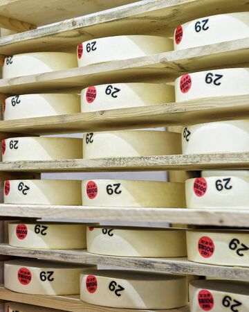 Wheels of young Cheese on wooden shelves in maturing cellar of Franche Comte dairy in Franceの写真素材