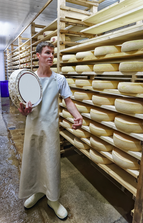 Evillers, France - August 31, 2016: Worker holds a wheel of Gruyere de Comte Cheese at ripening cellar in the Franche Comte dairy, Burgundy, Franceのeditorial素材
