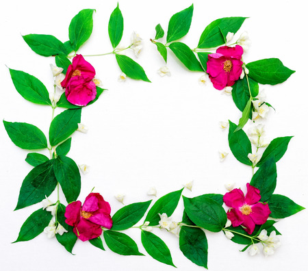 Wreath of pink tea roses and jasmine flowers and leaves on white background. Flat lay.の写真素材