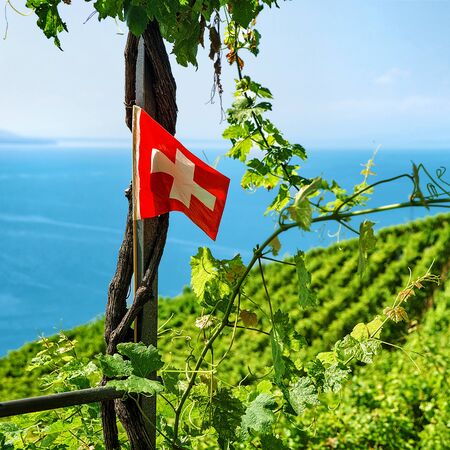 Swiss flag at Vineyard Terraces hiking trail of Lavaux, Lake Geneva and Swiss mountains, Lavaux-Oron district in Switzerlandの写真素材