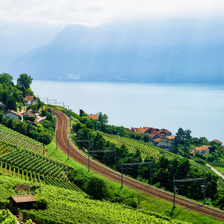 Railroad in Lavaux Vineyard Terraces hiking trail, Lake Geneva and Swiss mountains, Lavaux-Oron district in Switzerlandの写真素材