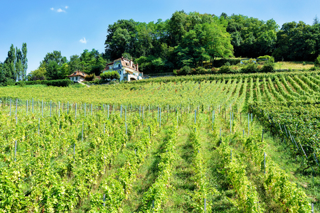 Lavaux, Switzerland - August 30, 2016: Chalets at Lavaux Vineyard Terraces hiking trail, Lavaux-Oron district, Switzerlandのeditorial素材