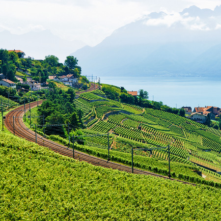 Railway line in Lavaux Vineyard Terrace hiking trail, Lake Geneva and Swiss mountains, Lavaux-Oron district, in Switzerlandの写真素材