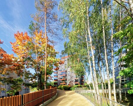 Birch trees and Modern glass residential apartment building. And outdoor facilities.の写真素材