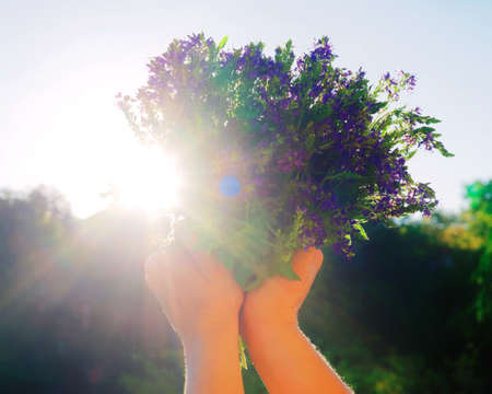 Romantic bunch of violet field flowers in the girl hands.の写真素材