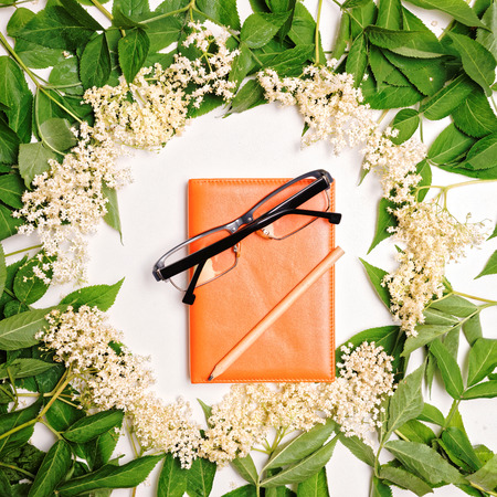 Round plant frame and dairy with glasses and pencil, on the white background. Flat lay, top viewの写真素材