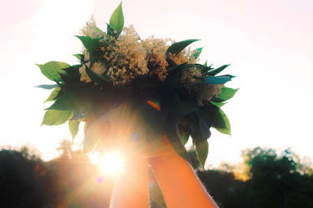 Romantic bunch of white field flowers in the girl hands.の写真素材