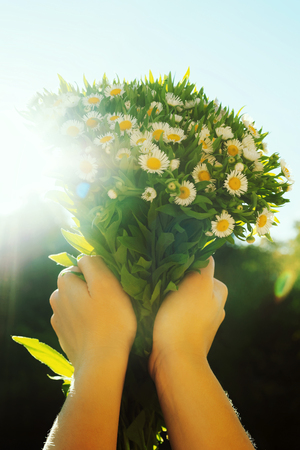 Romantic bunch of field daisy flowers in girls hands.の写真素材