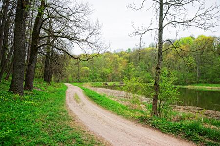 Nature of Traku Voke public park in Vilnius, Lithuania, Baltic country.の写真素材