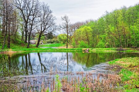 Pond at Traku Voke public park in Vilnius, Lithuania, Baltic country.の写真素材