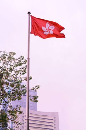 Hong Kong flag during the fog. Skyscrapers on the background, Hong Kong downtownの写真素材