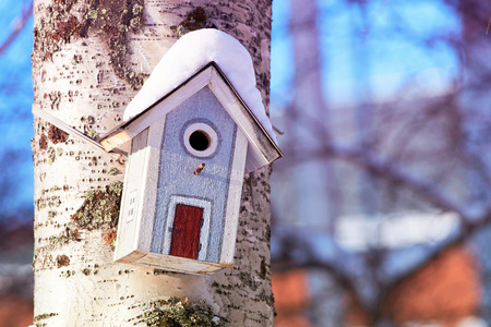 Birdhouse hanging on the tree in winter Rovaniemi, Lapland, Finland.の写真素材