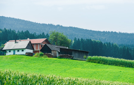 Village with houses in Alps mountains, Austria, in summer.のeditorial素材