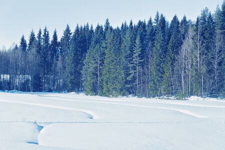 Snowy winter forest at the countryside in Rovaniemi, Lapland, Finland.