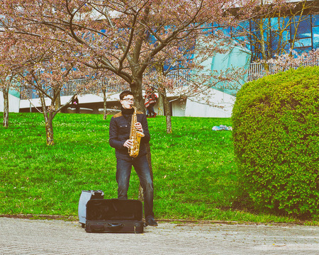 Vilnius, Lithuania - April 23, 2016: Saxophone player at Sakura or cherry tree flowers blossom garden in spring, Vilnius, in Lithuaniaのeditorial素材