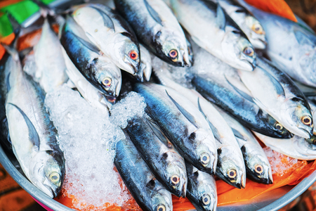 Counter with fresh fish at the street market in Can Tho, Vietnamの写真素材
