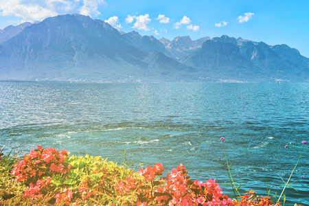 Flowers blossoming on the embankment of Geneva Lake in Montreux, Vaud canton, Switzerlandの写真素材