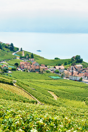 Lavaux, Switzerland - August 30, 2016: Lavaux Vineyard Terrace hiking route, Lake Geneva and Swiss mountains, Lavaux-Oron district, Swissのeditorial素材
