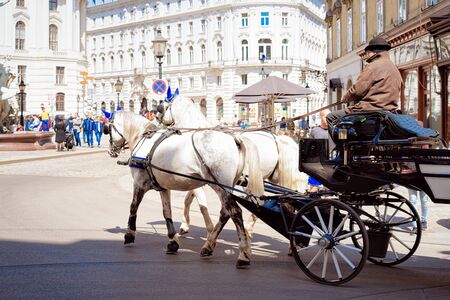 White Horses carriage with driver on Graben Street in Viennaのeditorial素材