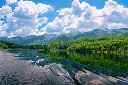 Scenery of Bohinj Lake of Slovenia. Nature in Slovenija. View of green forest and blue water....