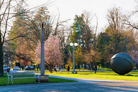 Romantic Landscape with bench at Mestni City Park in Maribor in Slovenia in Lower Styria in Europe. Nature and green trees blooming in spring in Slovenija. Slovenian town in summer. Travel destinationの写真素材