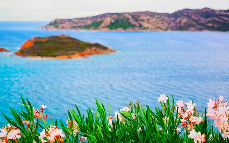 Isola Molara and Tavolara Island in Mediterranean Sea Sardinia reflexの写真素材