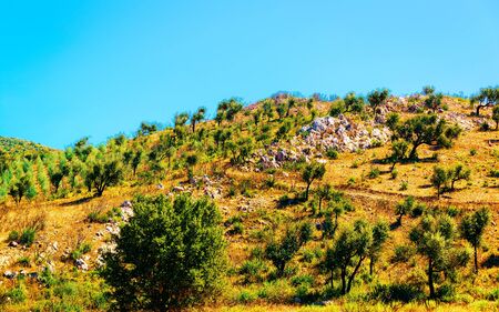 Landscape of Teulada Cagliari Sardinia island reflexの写真素材
