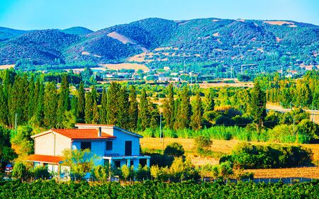 Rural landscape. Cottage and Beautiful vineyards in Perdaxius, Carbonia-Iglesias. Panorama in South Sardinia island of Italy. Scenery of Sardegna in summer. Cagliari province. Mixed media.の写真素材