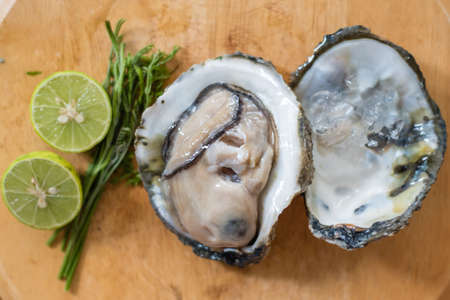 raw oysterの写真素材