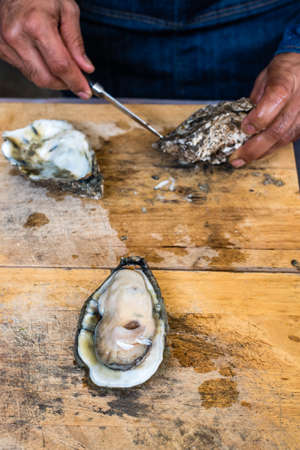 raw oysterの写真素材