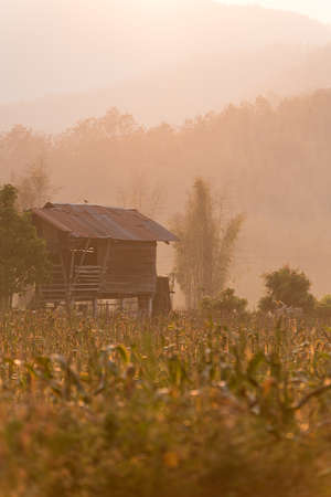 Asian country cottageの写真素材