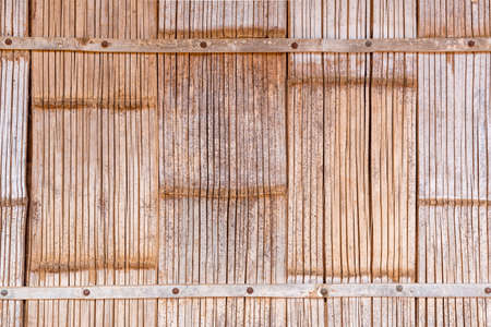 bamboo background