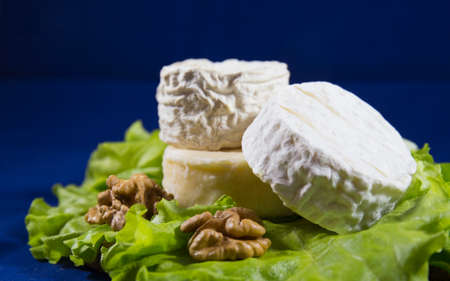 cheese of three varieties on a plate with lettuce leaves and walnuts (Saint-remy, Crottin d Eyubonne, Shayba)の写真素材