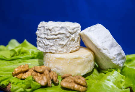 cheese of three varieties on a plate with lettuce leaves and walnuts (Saint-remy, Crottin d Eyubonne, Shayba)の写真素材
