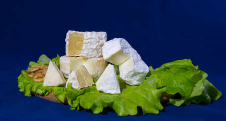 cheese of three varieties on a plate with lettuce leaves and walnuts (Saint-remy, Crottin d Eyubonne, Shayba)の写真素材