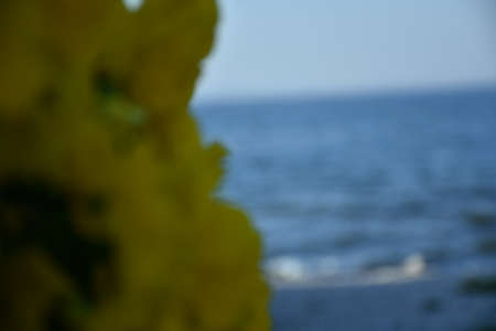 yalovaの写真素材