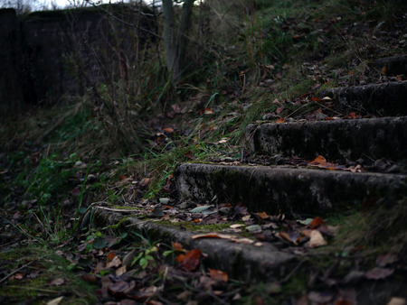 The concrete steps under the fallen leaves.の写真素材