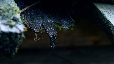 The drop is falling from old wooden roof. Shot with live camera.の写真素材