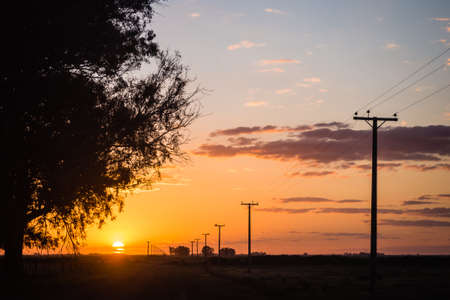 Beautiful sunste in the fileds aof Argentina with electric poles going to the horizonの写真素材